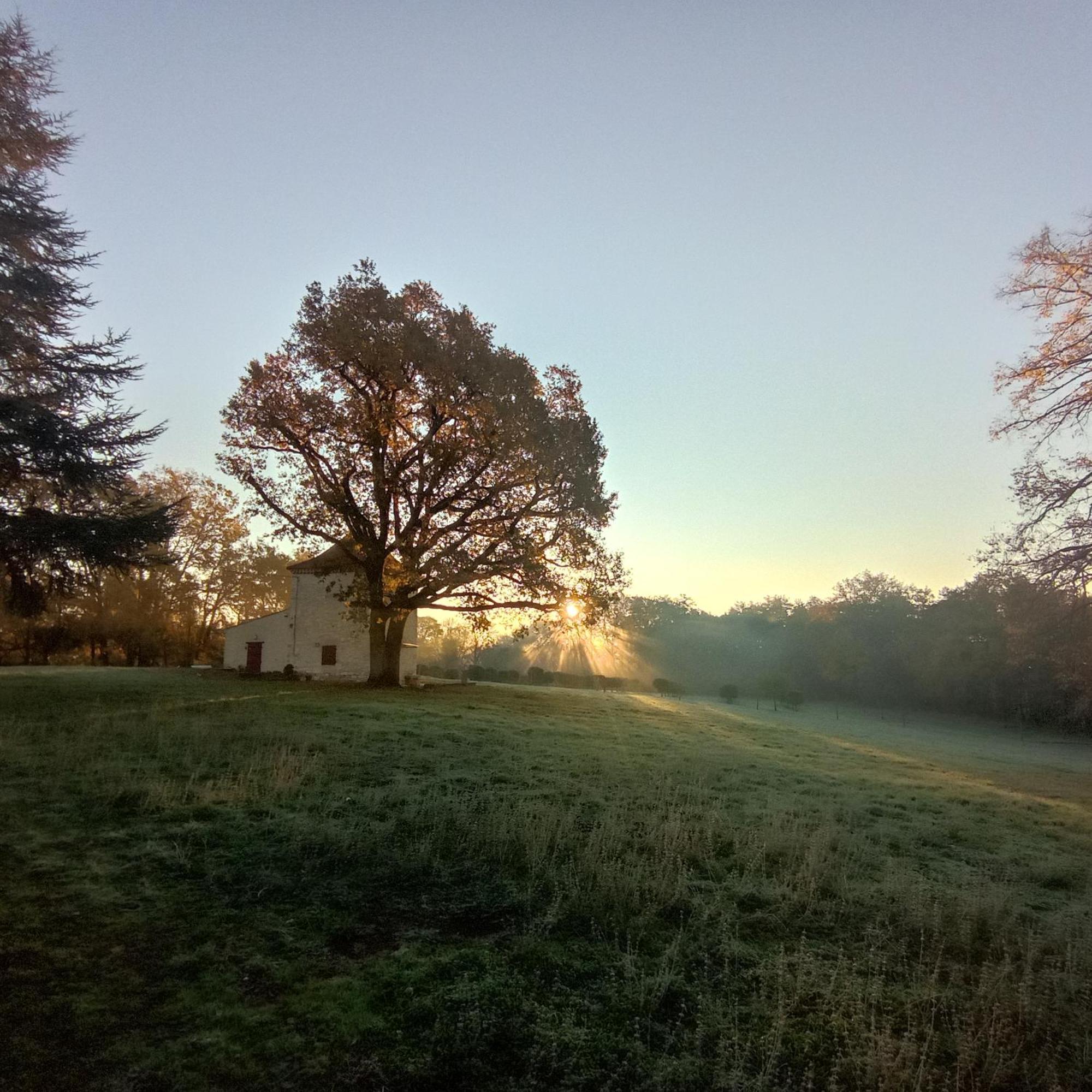 Domaine De La Borde Holiday home
